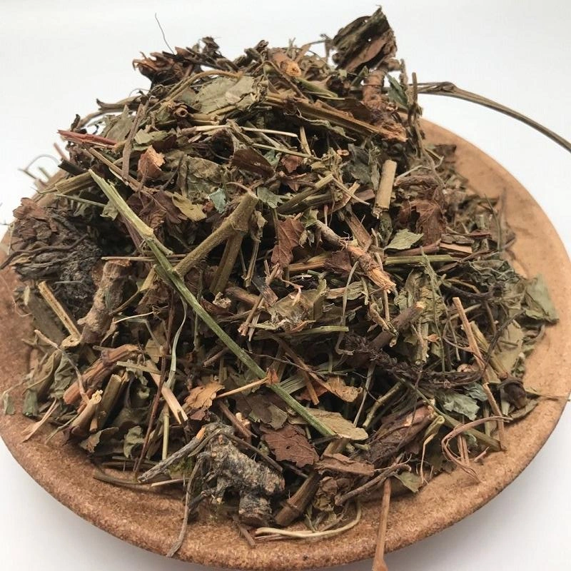 Xian He Cao GMP Factory Supply Herb 100% Natural Herba Agrimonia Pilosa