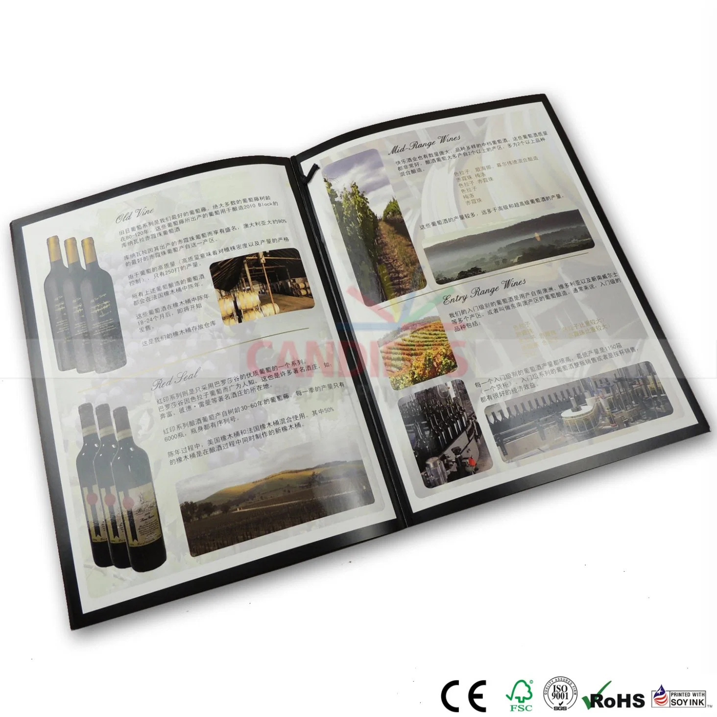 Luxury Catalog Printing with Foil Stampingand Spot UV on All Pages