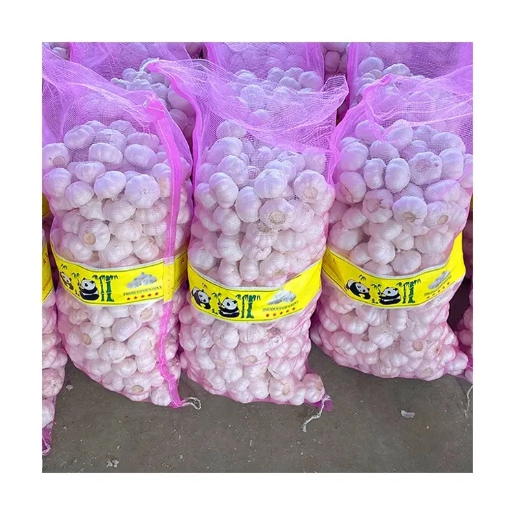 Ail blanc normal frais de haute qualité pour l'Indonésie 20 kg de filet Sac ail