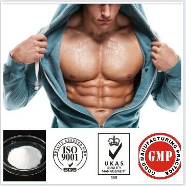 Pharmaceutical Grade Peptides Gdf-8 Myostatin Powder Hmp for Muscle Gaining