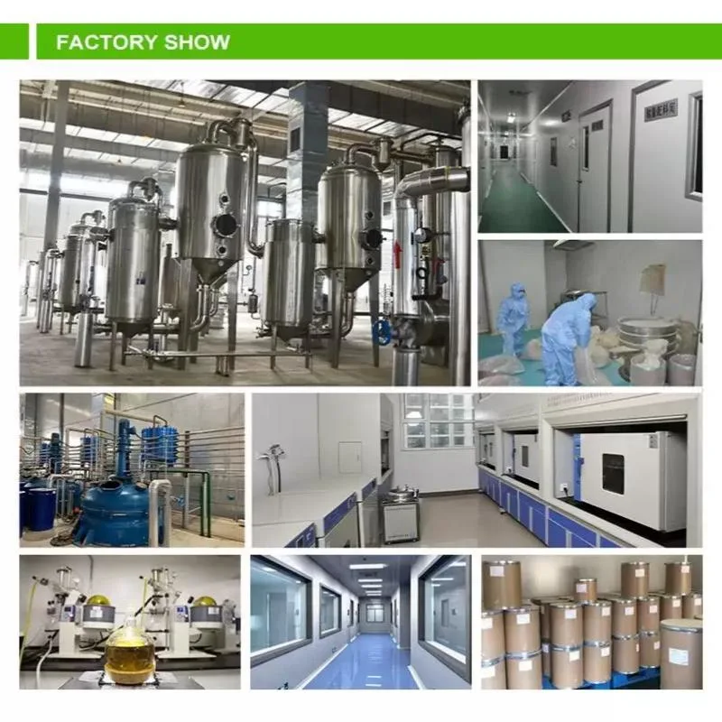 Comext High quality/High cost performance  Pure Serenoa Repens 20: 1 Fatty Acid Saw Palmetto Extract Powder