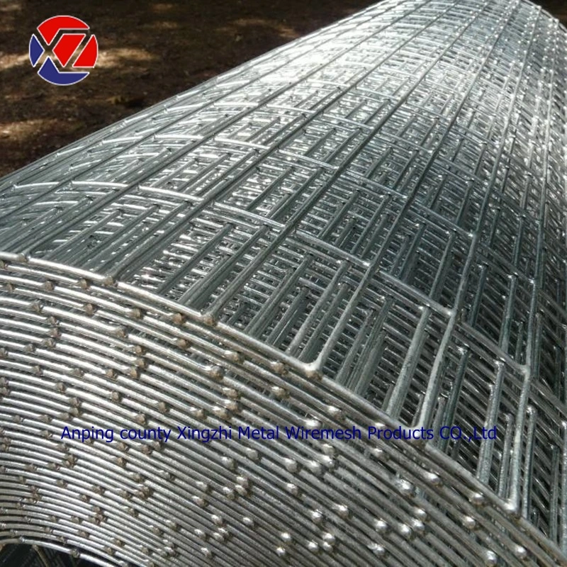 Galvanized Stainless Steel Welded Wire Mesh (Factory price)