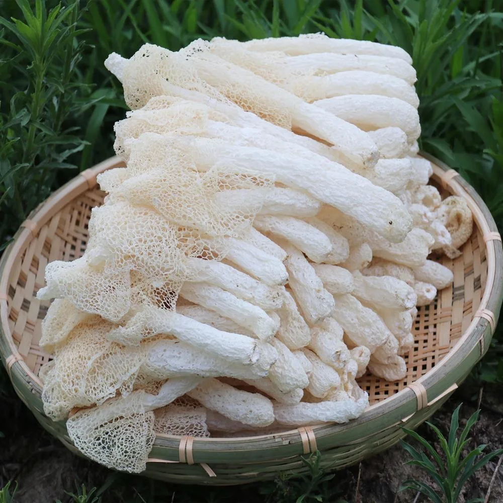 Dried Bamboo Fungus Mushroom Dictyophora Indusiata Chu-Sheng