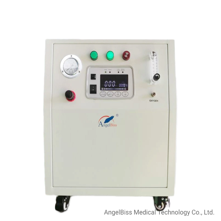 Electric Industry High Purity Psa Oxygen Generator (10LPM 0.4MPa)