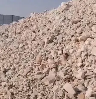 Coal Gangue Used for Ceramic Material