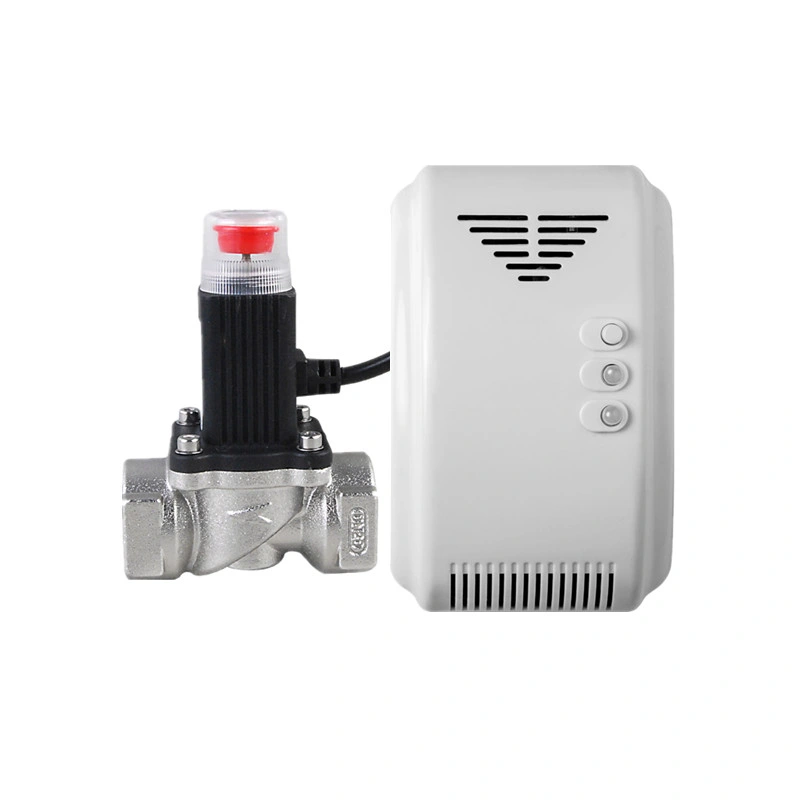 Domestic Natural Gas Detector Kit