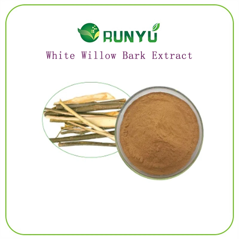 CAS 84082-82-6 Wholesale Price Herbal Extract Solvent Extraction Food Grade White Willow Bark Extract 98%