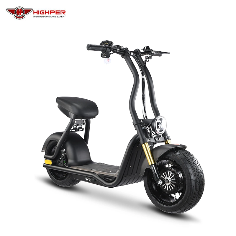 Adulto Fat Tire Electric 2-Wheel Electric Scooters off Road 800W 48V