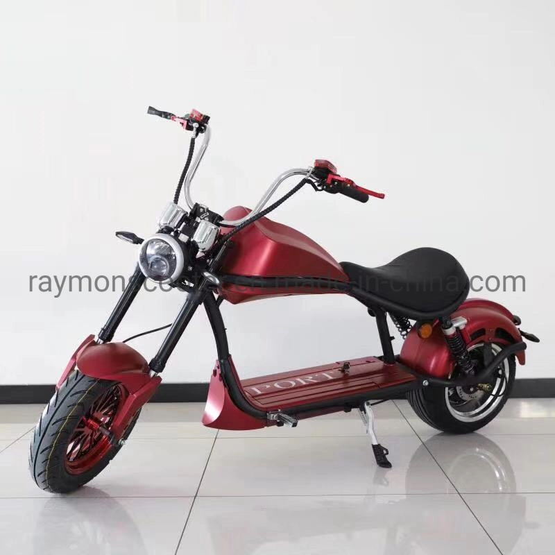 Raymon 72V 20ah elektrisches Fahrrad 800W 1000W Lithium Elektroroller