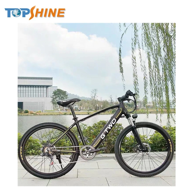 250W 36V Mountain Electric Bike with CE En15194 Certificate and GPS Colorful Odometer E Message