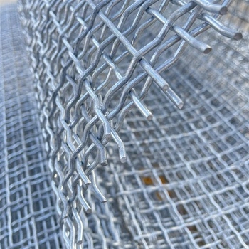 Factory Good Price High-Quality Wholesale/Suppliermanufactory Support Custom Low Carbon Steel Crimped Wire Mesh Screen