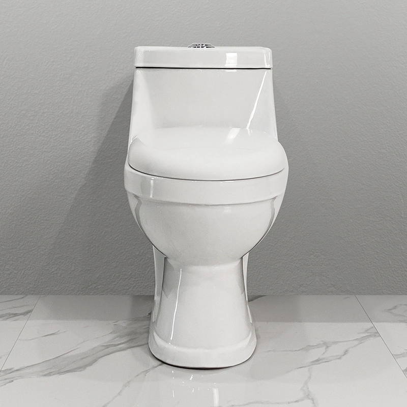 Cerámica de venta al por mayor de aparatos sanitarios de lavado cuarto de baño WC S-Trap100mm