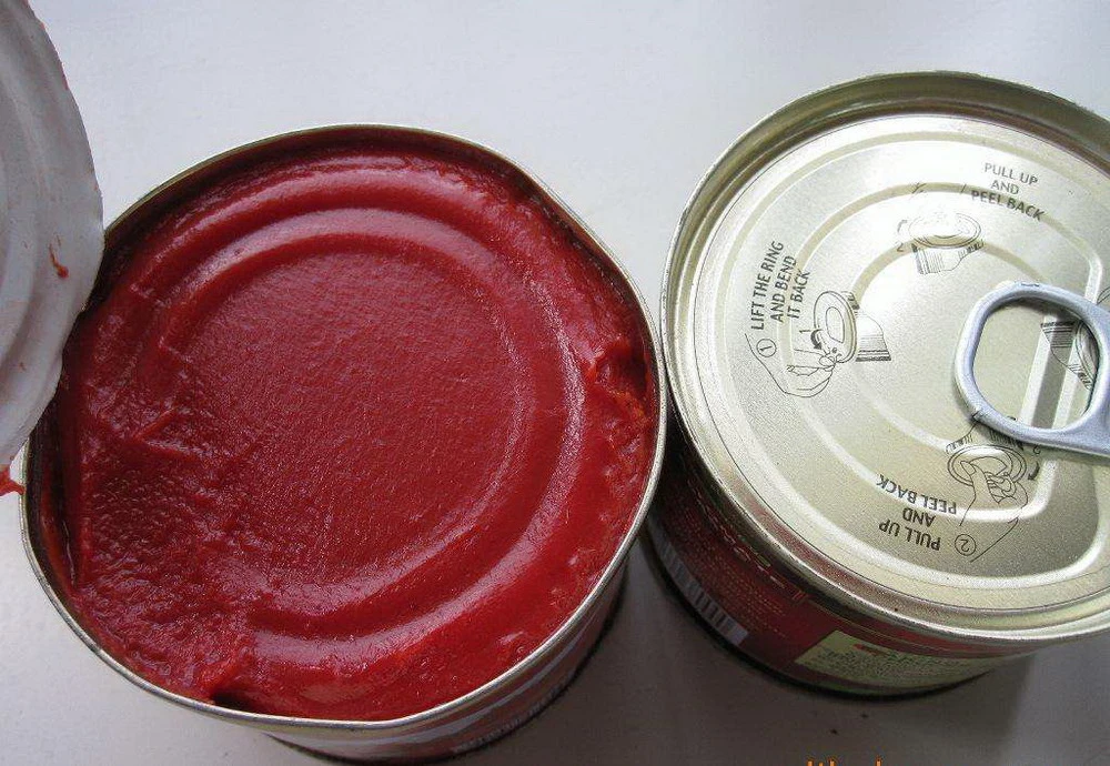 70g Easy Open Canned Tomato Paste with Excllent Quality