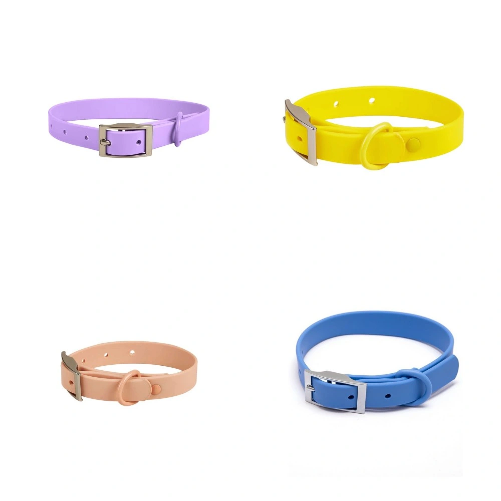 Pet Collares Y Correas Cat Pet Collars & Leashes