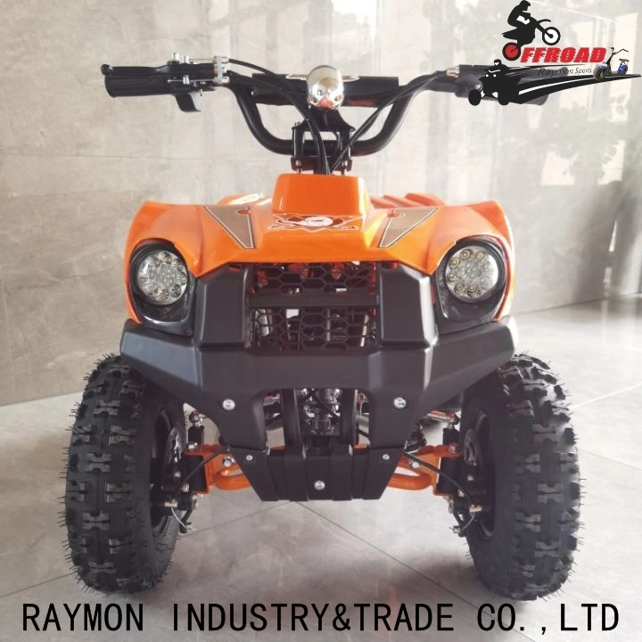 Novo tipo Mini 4 Rodas Kids 350W ATV brinquedos