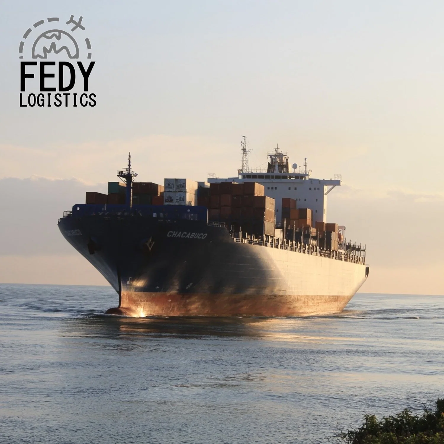 DDP Sea Shipping/Air Cargo Freight Forwarder to Luxembourg/Netherlands/Poland/Slovakia/Slovenia Fba Amazon Export Agents Logistics UPS/FedEx Express Rates