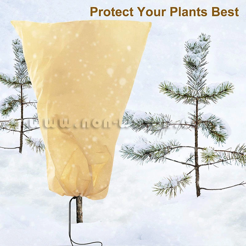 DIY Plant Covers for Winter