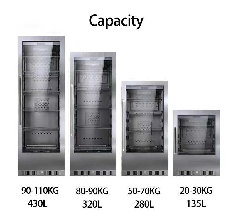 Maturing Fridges Energy Saving Beef Steak Beef Dry Aged Aging Beef Meat Cabinet Aging Refrigerator