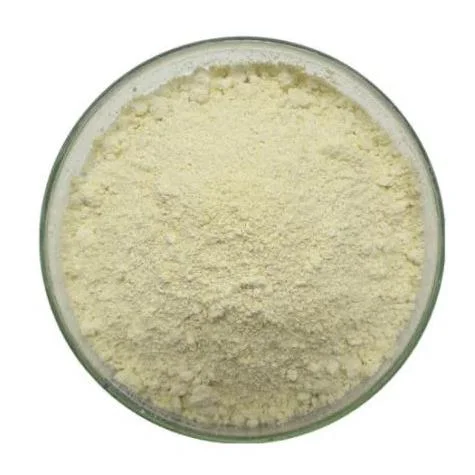 Health Raw Material Genistein CAS 446-72-0 for Anticancer