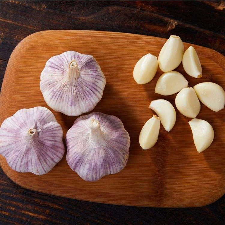 China Good Exporters Manufacturers Garlic New Crop Price