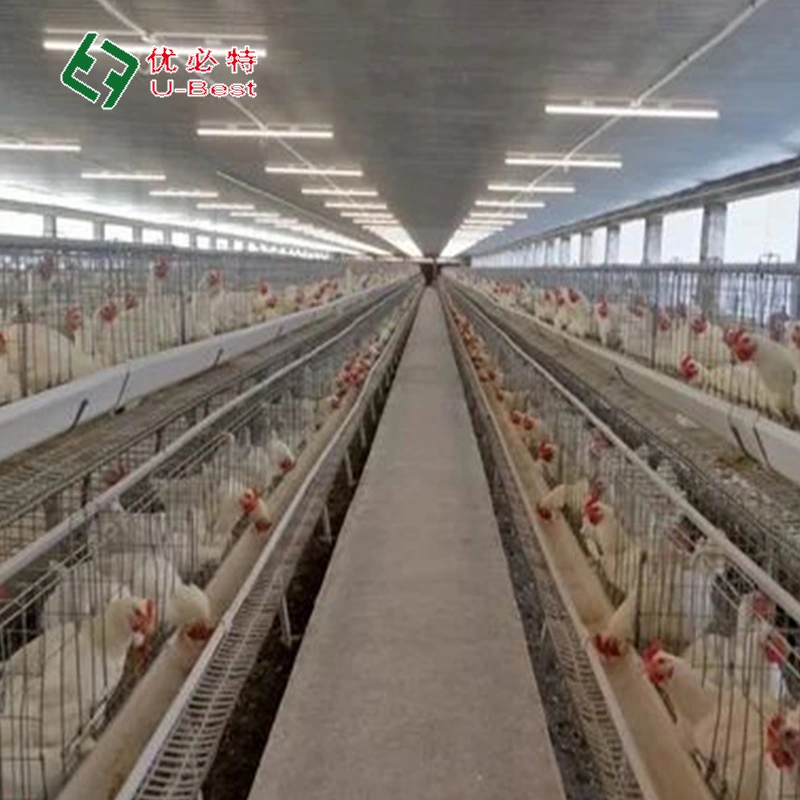 Hühnerhaus Geflügel Landwirtschaft Ausrüstung Prefab Stahlstruktur Käfigen