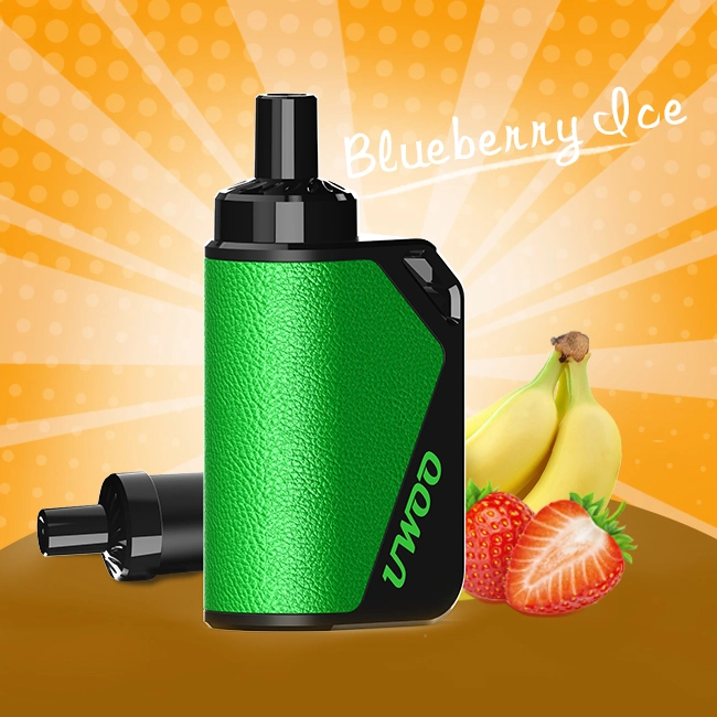 Shenzhen Smoking Device Vaping Disposable/Chargeable Pen Fruit Juice Vaper Ecig