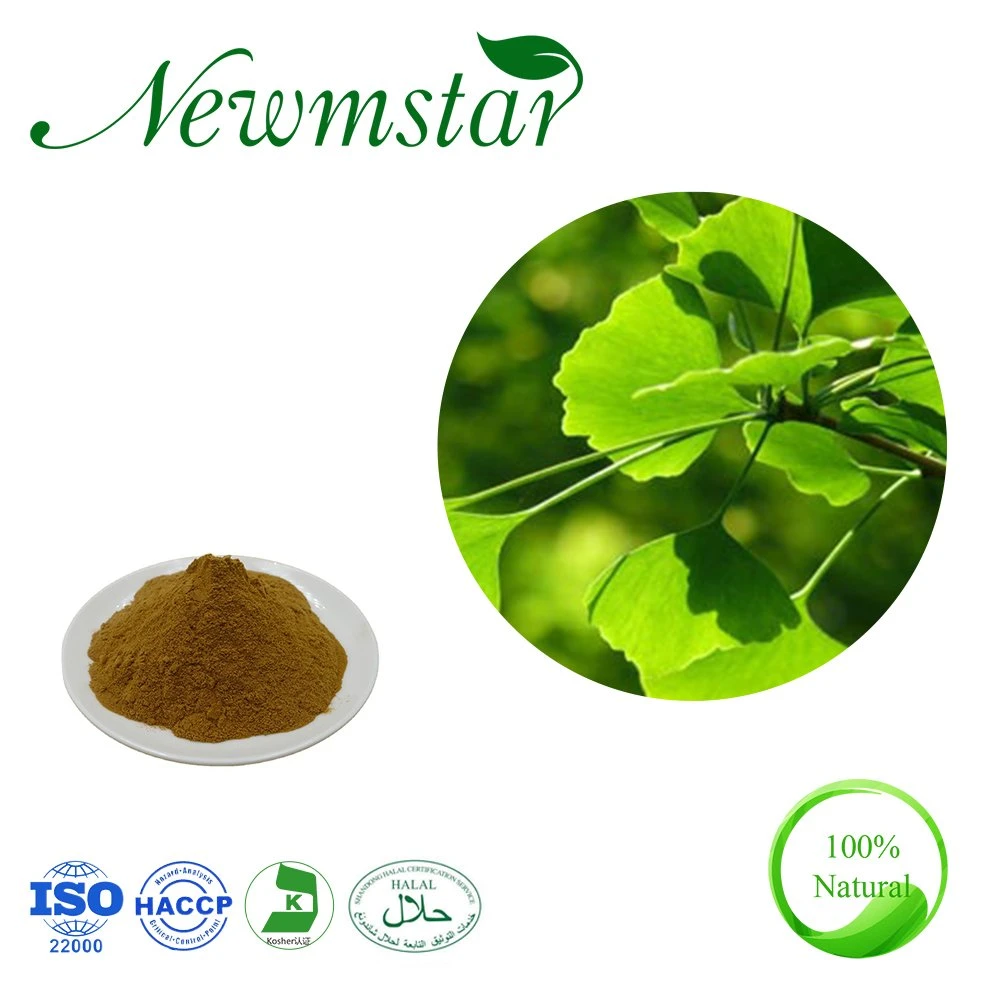 Extracto de hojas de Ginkgo Natural Orgánico Biloba planta de polvo Ginko Biloba Extraer