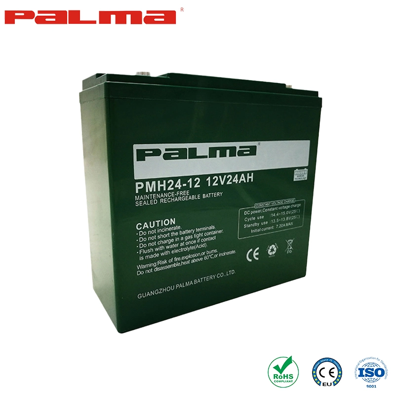 Palma AGM/Gel Battery Ebike Battery Original Factory 12V20ah Electric Vehicle Batteries