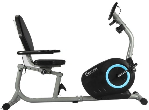 Indoor Fitness Magnetic Exercise Cycling Bike for Home Gym Silent