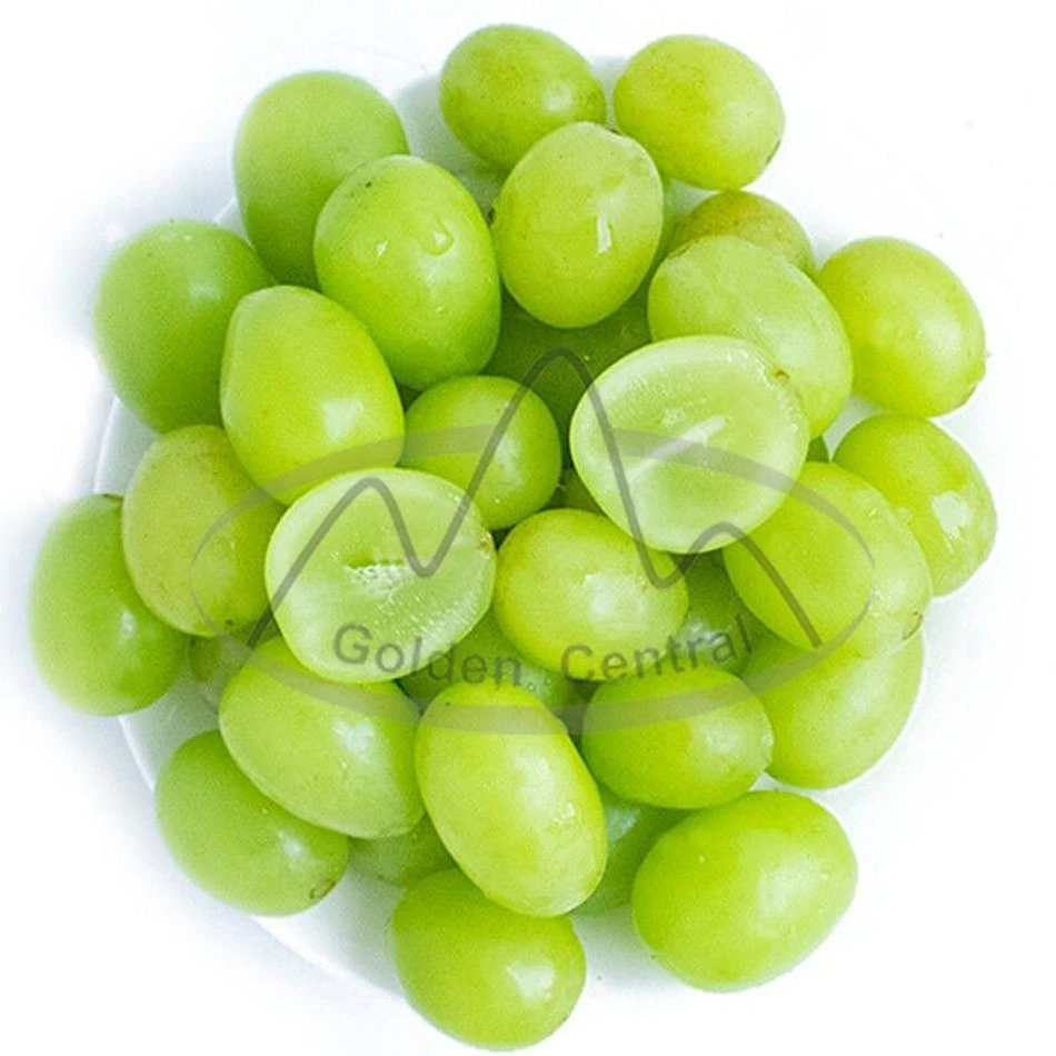 Supplier Offer Delicious High Sugar Shine Muscat Grape Seedless