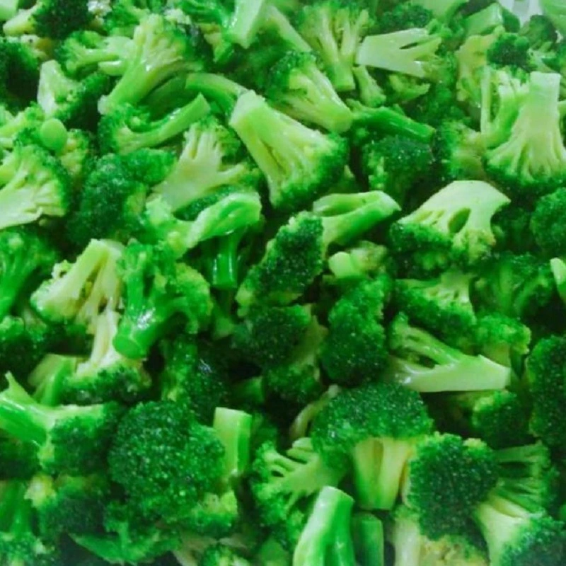 Year-Round Crop IQF Frozen Broccoli Floret Vegetables Florets Floret