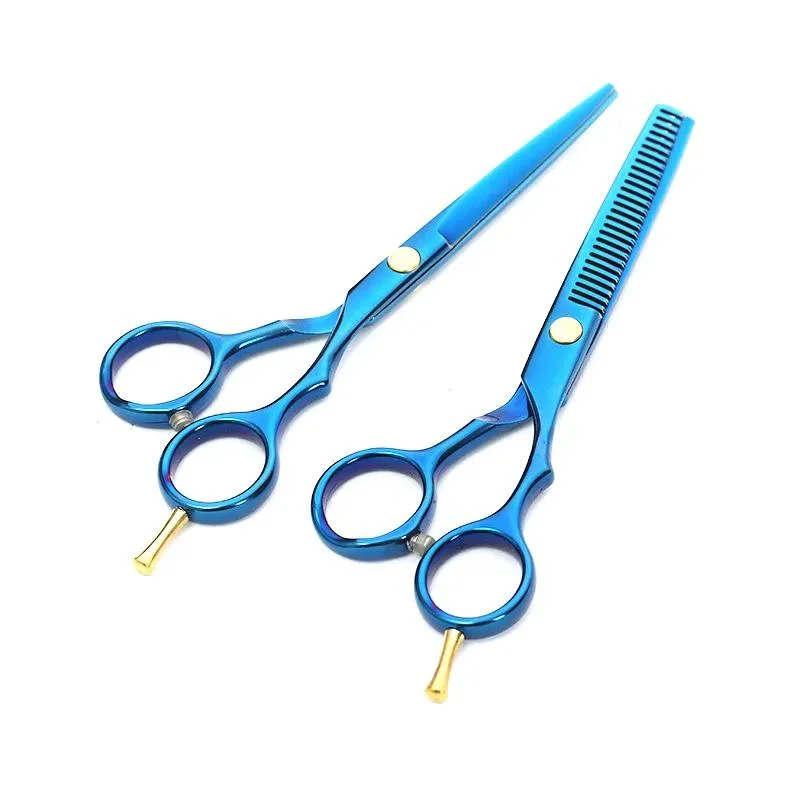 Hot Sale 9cr13 Material 6.0 Inch Silver Gasket Beauty Flat Scissor Fashion Design Barber Scissors Hair Cutting Tool