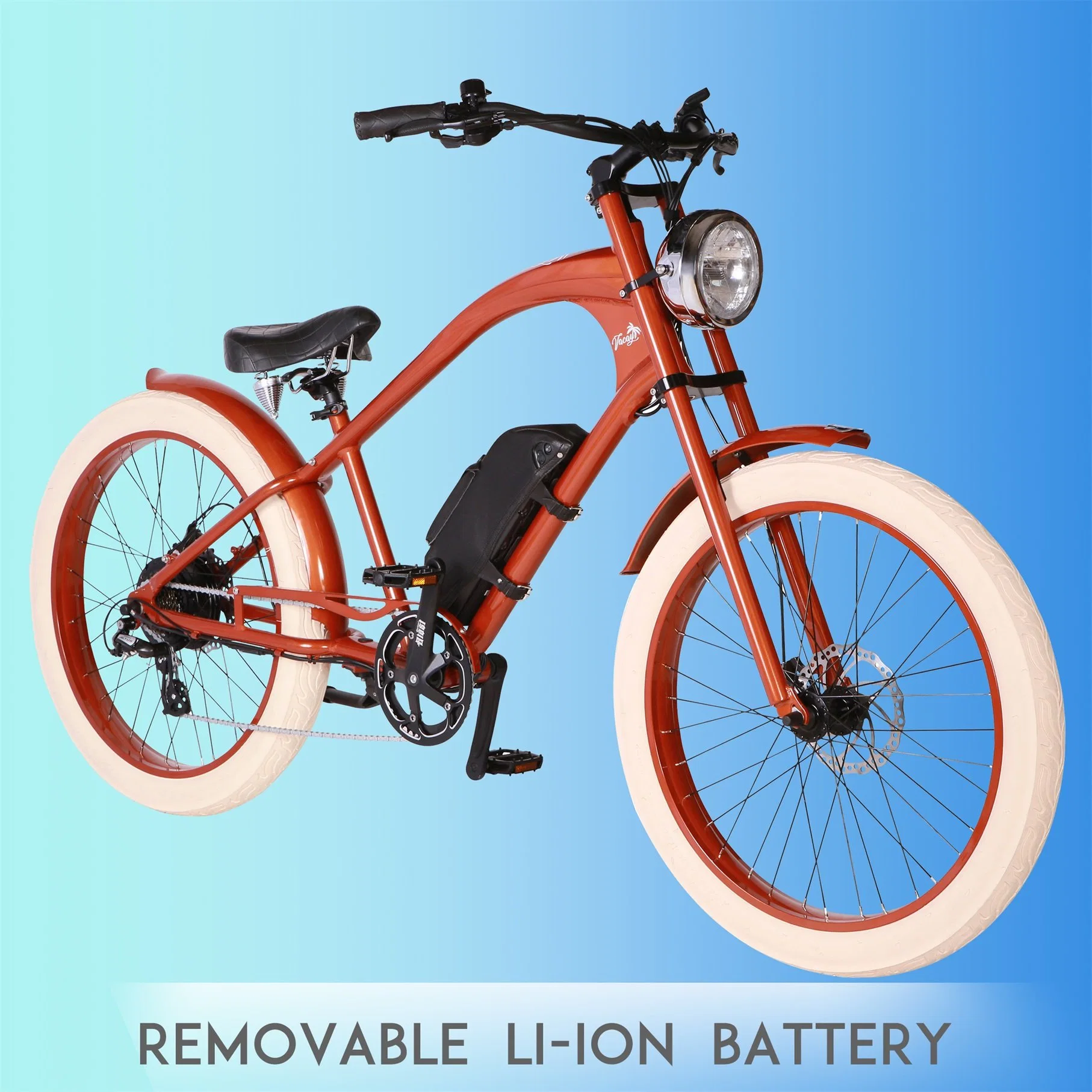 Europe Top Selling Electric Bike with CE / En15194 36V Li Ion Battery Removable Lithium Battery