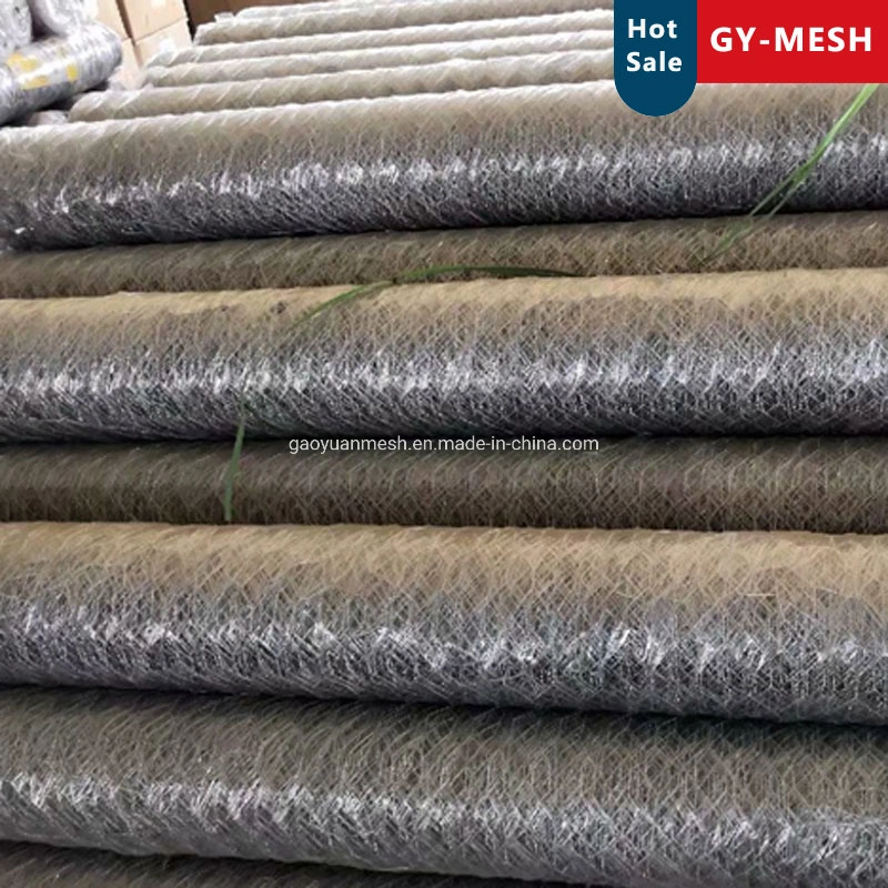 PVC /Stainless Steel/Galvanized Hexagonal Wire Mesh for Poultry Fence Mesh