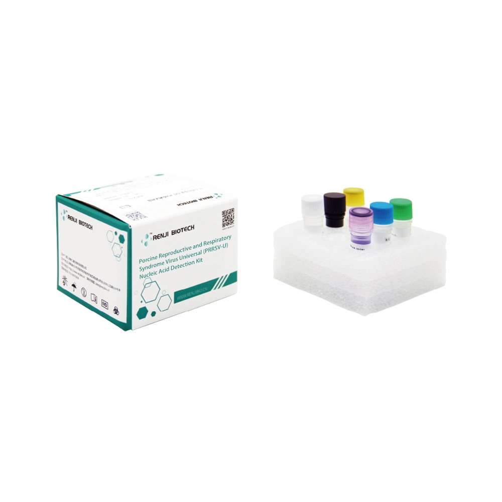 Animal Disease Prrsv-U Porcine Reproductive and Respiratory Syndrome Virus PCR Test Kits 48 Test