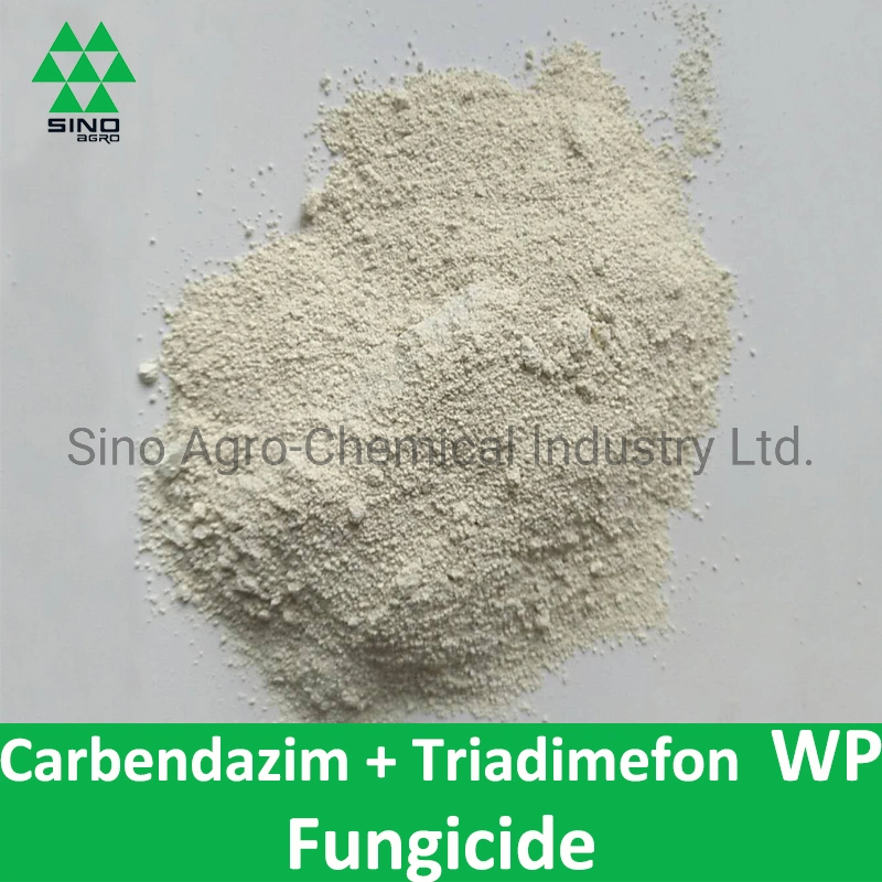 Carbendazim 24% + 9% Triadimefon Wp fungicida bactericida de metabolitos de plaguicidas