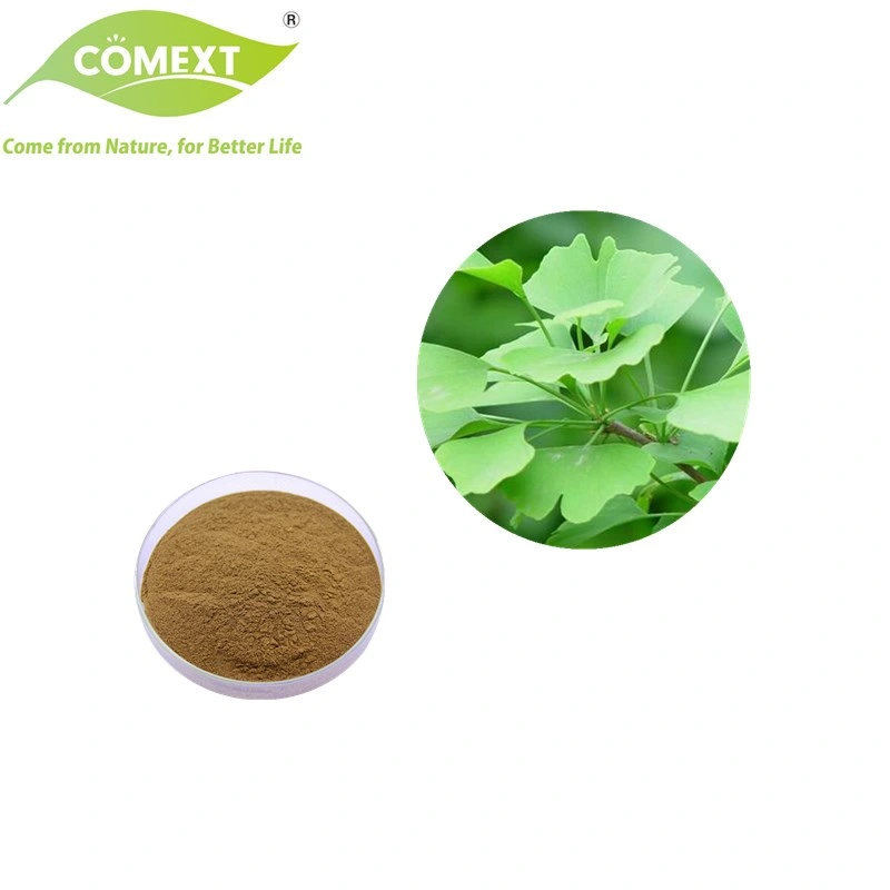 Comext ISO Halal Kosher Certificated Wholesale/Supplier Price 24% Total Flavones Powder Ginkgo Biloba Extract Lower Blood Pressure