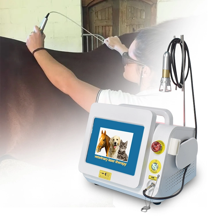 High Intensity 60W Physical Therapy Veterinary Laser Therapy Equipment for Dog Horse Cat Pain Relief