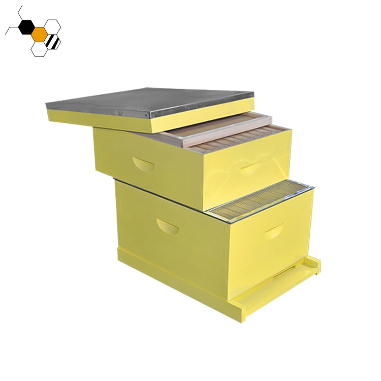 OEM Painted 10 Frame Langstroth Beehive