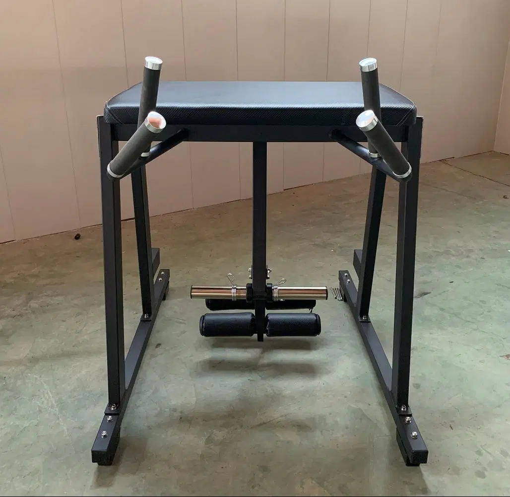 Hot Sale Fitness Equipment Reverse Hyper Extension Machine for Gym (AXD-B137)