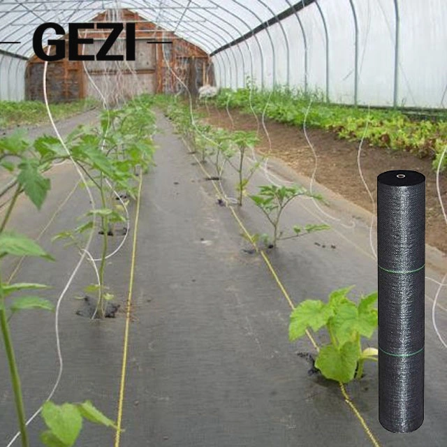 PE PP Woven Biodegradable UV Treated Protection Garden Agriculture Plant Anti Weed Barrier Control Mat Landscape Fabric