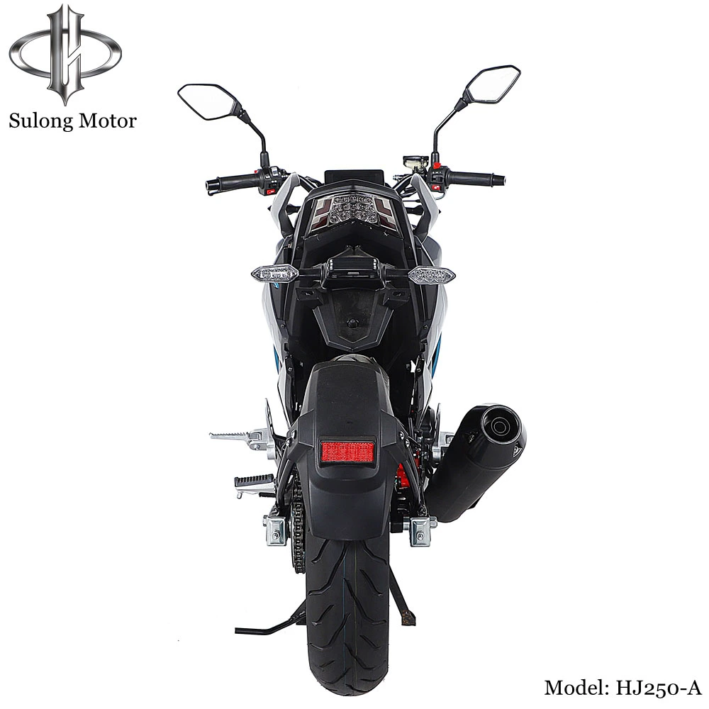 High Speed Cruiser 250cc Motorcycle Dirt Bike Street Racing Motorcycle with Guaranteed Quality