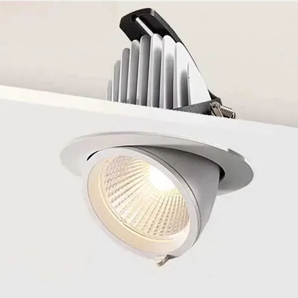 Adjustable Trunk Shape No Flicker Aluminum Embeded Moveable COB LED Downlight