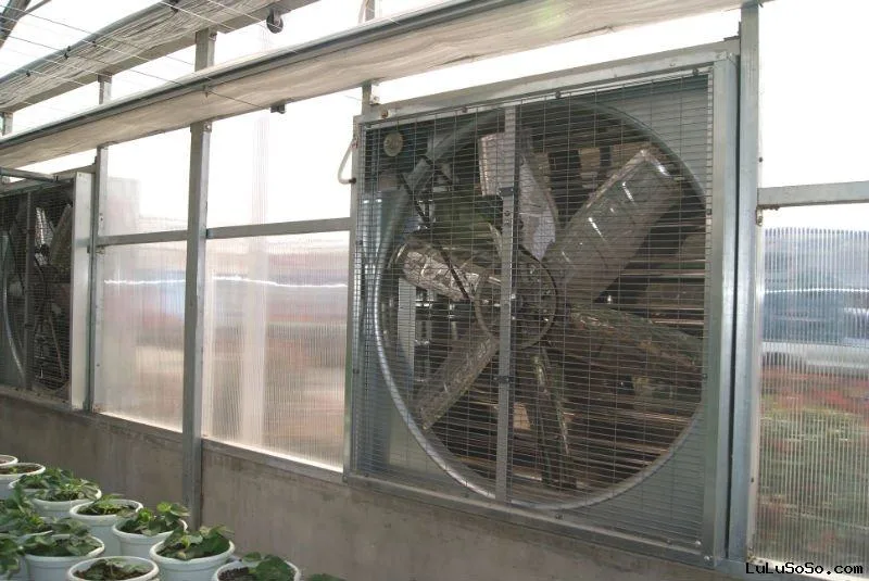 precio de fábrica los fans de la industria avícola Ventilador Axial Ventilador para la industria ganadera de la planta de invernadero