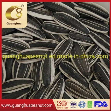 New Crop Good Quality Sunflower Seeds 601