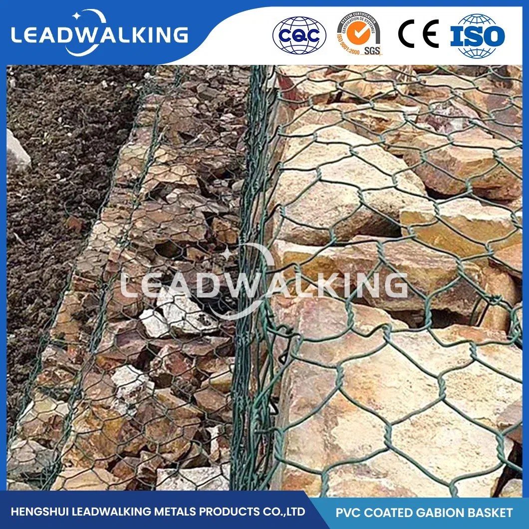 Leadwalking 2.0*0,5*0,5 Gabion de metal de tamaño de la fábrica de la jaula de malla con revestimiento de plástico Anticorrosivo Gabion Hexagonal China 60x80mm recubierto de plástico de malla Gabion Net