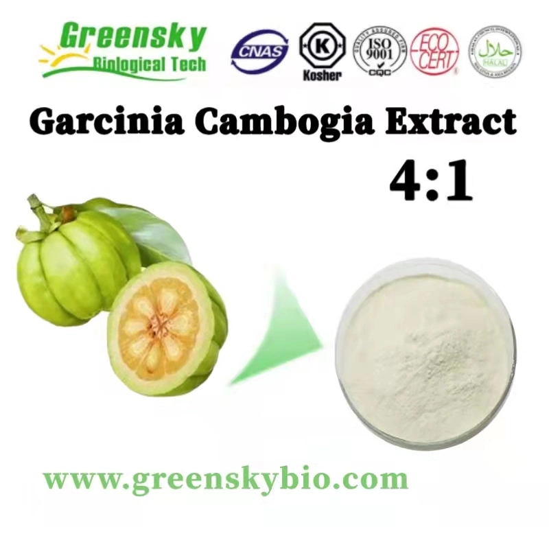 Natural Pure Garcinia Cambogia Extract 4: 1 off White Powder Plant Extract Herbal Extract Food Additive