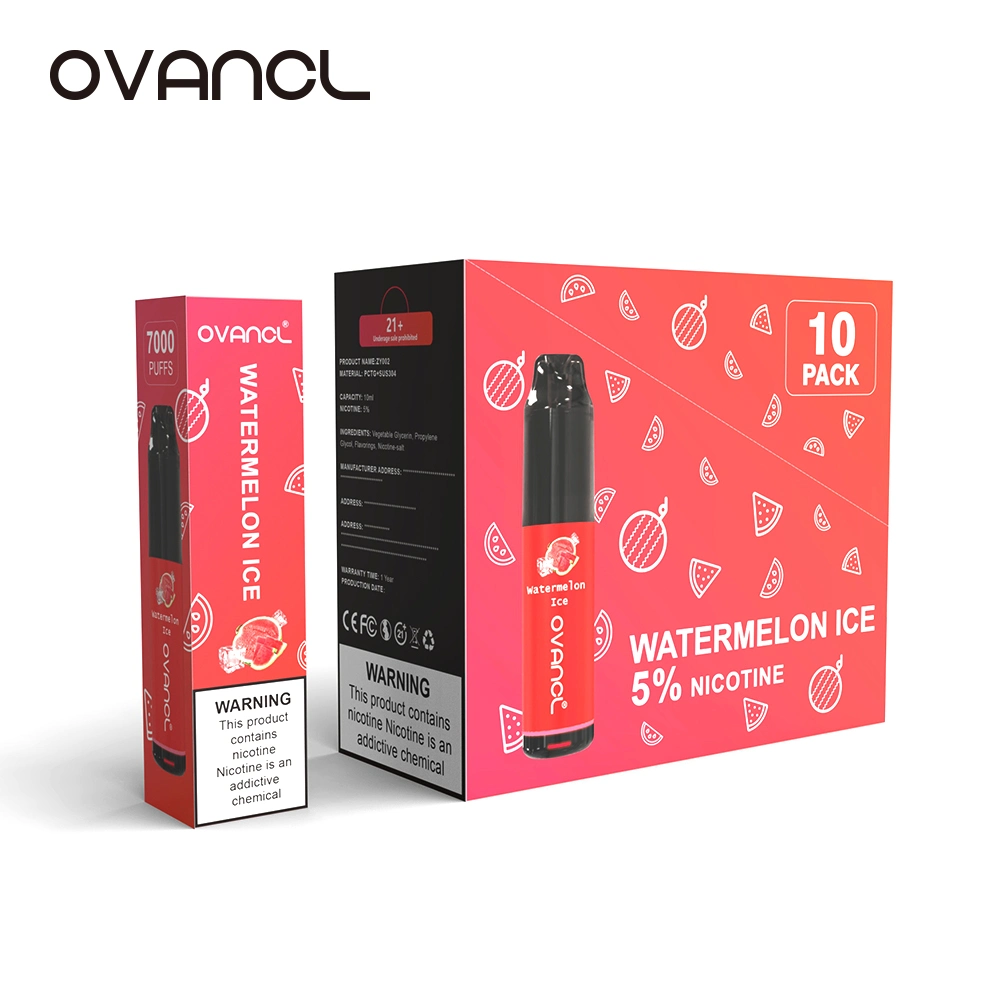 Wholesale/Supplier Price 5000 Puffs Electronic Cigarette Mesh Coil Flash LED Vape Pen Ovancl Brands of E Cigarettes