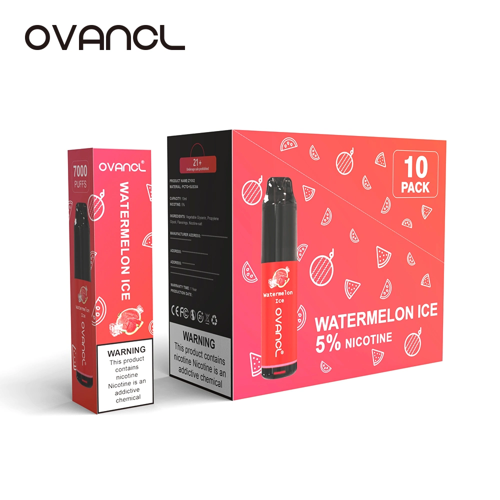 Prix de gros 5000 bouffées électronique cigarette mesh bobine Flash LED VAPE Pen Ovancl marques de cigarettes E.