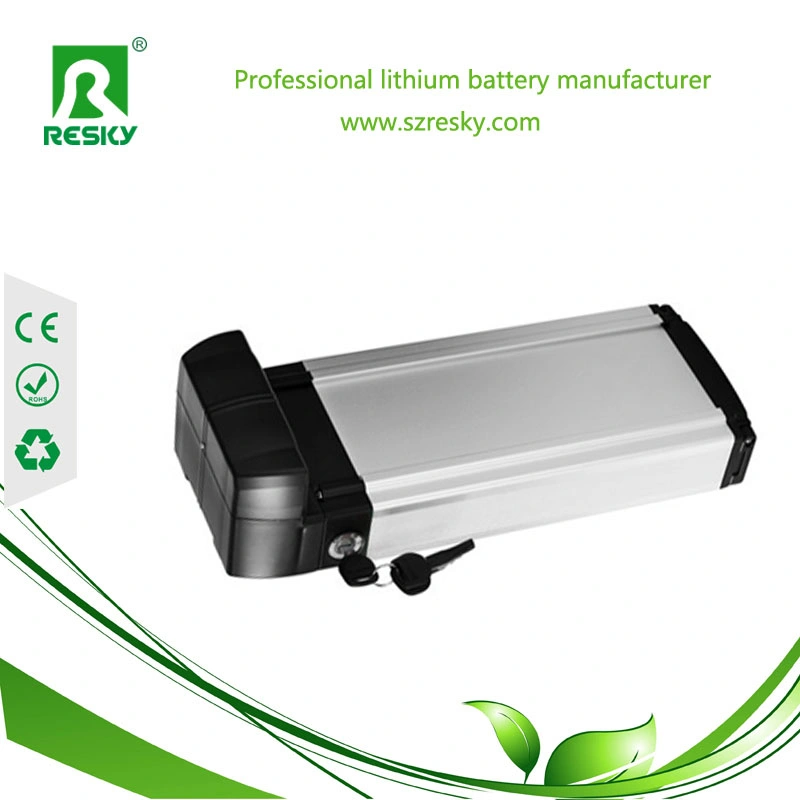 Rear Rack 48V 10ah 13s4p Battery for Ebike with Charger